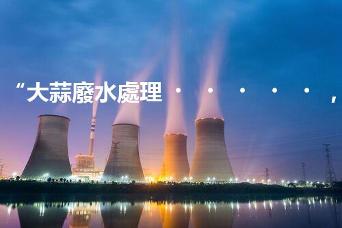 “大蒜廢水處理，綠色環(huán)保新篇章”